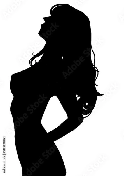 Obraz 女性のシルエット