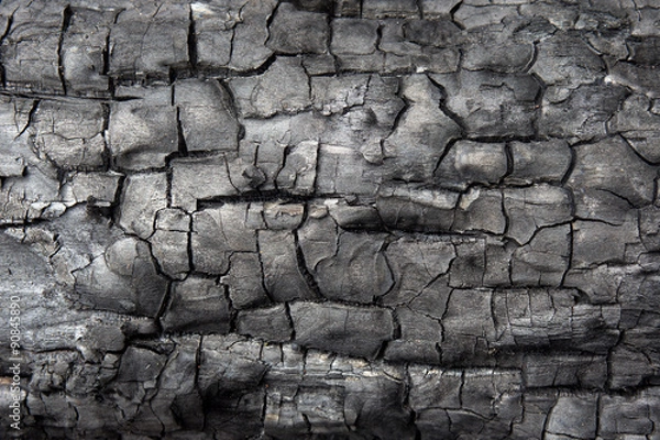 Obraz Black charcoal texture background. Burnt wood texture