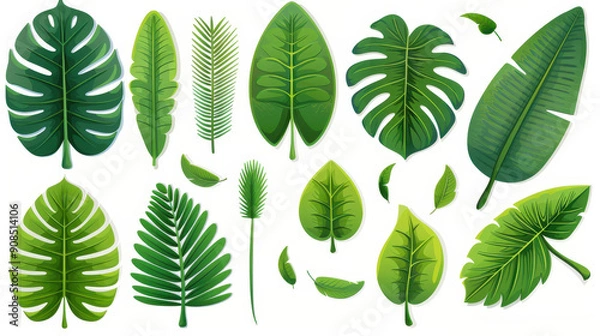 Fototapeta Vibrant leaves clip art featuring watercolor tropical palm and lush jungle greenery for your design projects.