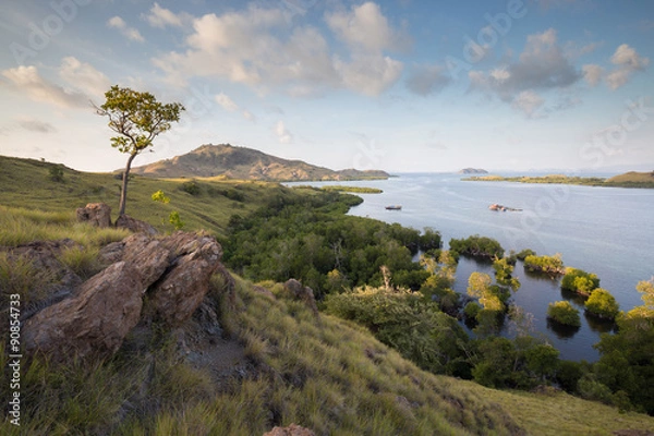 Obraz Komodo Mangroves