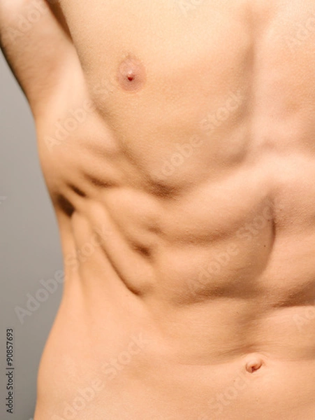 Obraz Abdominal muscles