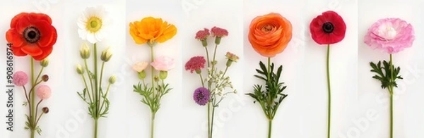 Fototapeta Beautiful selection of flowers in various colors on white background. A mix of roses, gerbera, gladiolas, sunflowers, and other blooms. Perfect for decoration, gift, or anniversary