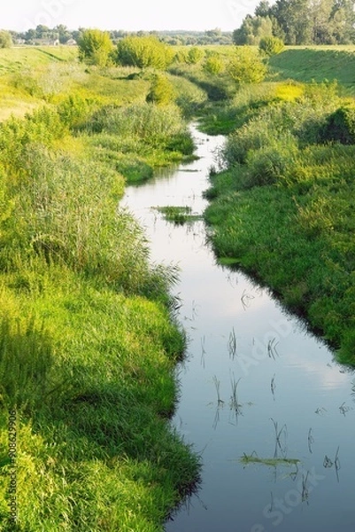 Fototapeta A small overgrowing river