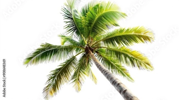 Fototapeta A solitary palm tree with an ivory fruit, set against a blank canvas, surrounded by exotic greenery.