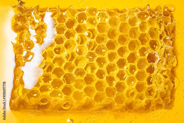 Fototapeta Piece of honeycomb, floating in the yellow sweet honey.