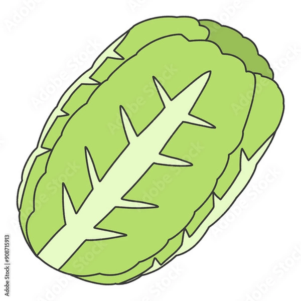 Obraz 白菜　シンプル　イラスト