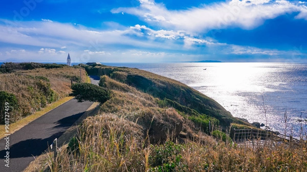 Fototapeta 城ヶ島からの海景　城ヶ島公園（神奈川県三浦市）