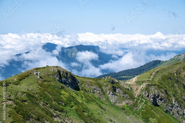 Fototapeta View of rocky mountains and forest on a sunny summer day
