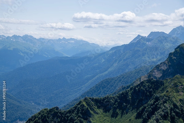 Fototapeta View of rocky mountains and forest on a sunny summer day