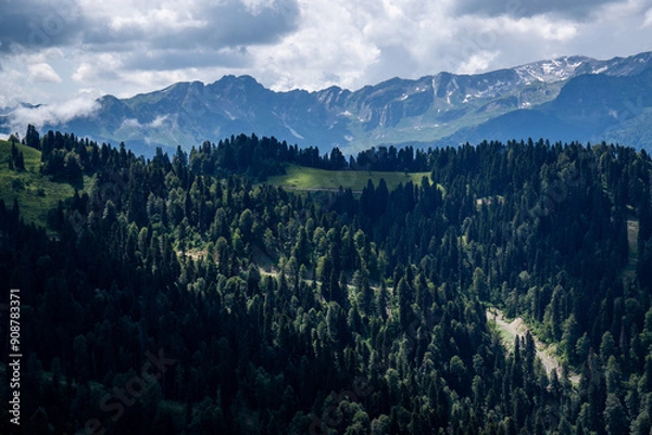 Fototapeta View of rocky mountains and forest on a sunny summer day