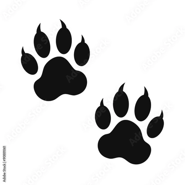 Obraz paw print