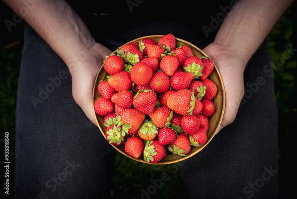 Obraz Fruits of summer: fresh strawberries in a bowl in hands