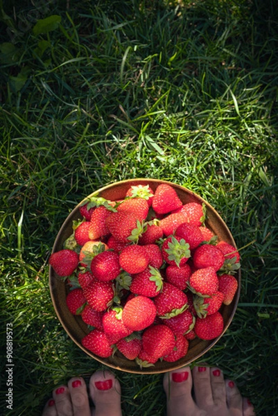 Obraz Summer in the garden: red strawberry fruits in a bowl on the grass