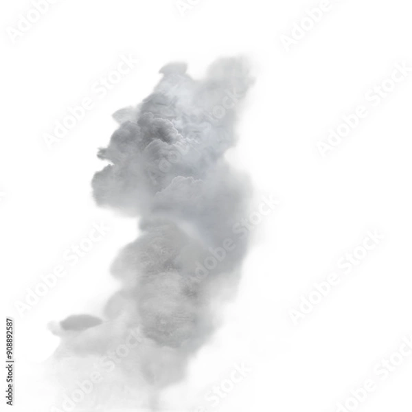 Fototapeta A cloud of smoke is rising from a fire