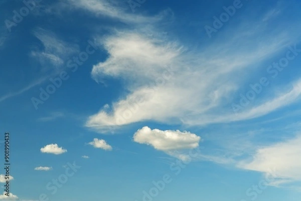 Fototapeta Nice cirrus clouds in the blue sky.