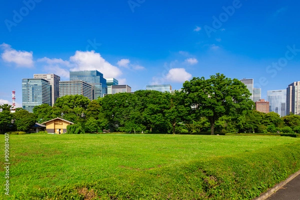Obraz 皇居東御苑・江戸城跡の公園の木々越しに見える、都会・丸ノ内・大手町・日比谷のビル（東京都千代田区）