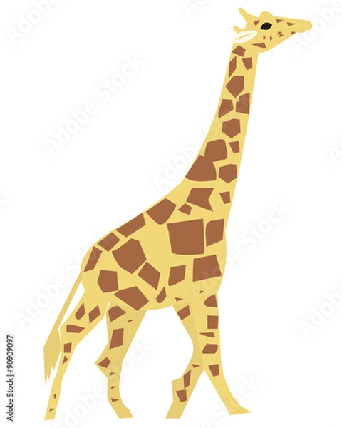Fototapeta Giraffe