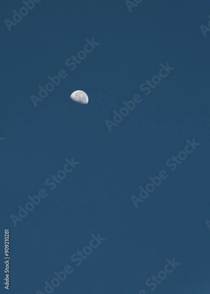 Fototapeta luna en una noche despejada 