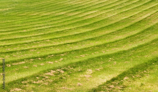 Obraz The Green Lines