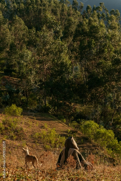 Fototapeta mujer sentada junto a su perro viendo el horizonte frente a una montaña 