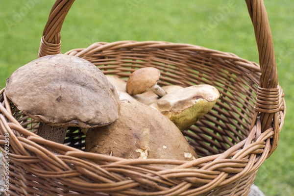 Obraz Грибы в корзине