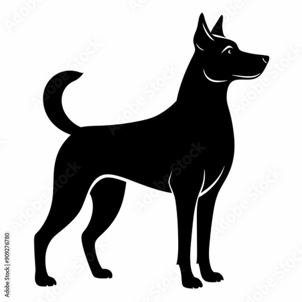 Obraz Beautiful dog vector illustration 