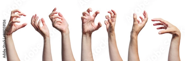 Fototapeta Set of female hands showing different gestures isolated on white background.