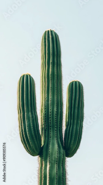 Fototapeta Tall saguaro cactus with three branches against clear blue sky, vertical shot. Desert plant and nature concept