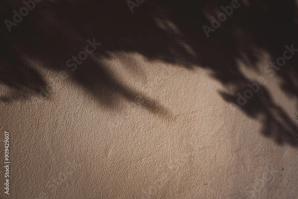 Obraz A shadow of a tree is cast on a wall