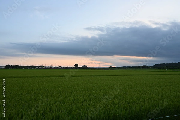 Obraz 田舎の景色