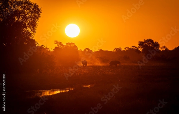 Fototapeta Okavango Delta, This delta in north-west Botswana comprises permanent marshlands and seasonally flooded plains. The Okavango Delta is home to some of the world’s most endangered species of large mamma