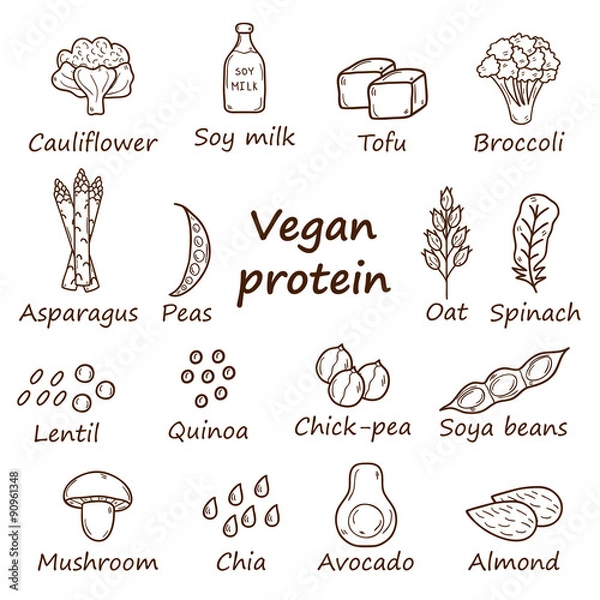 Obraz Set of cartoon hand drawn objects on vegan protein source theme
