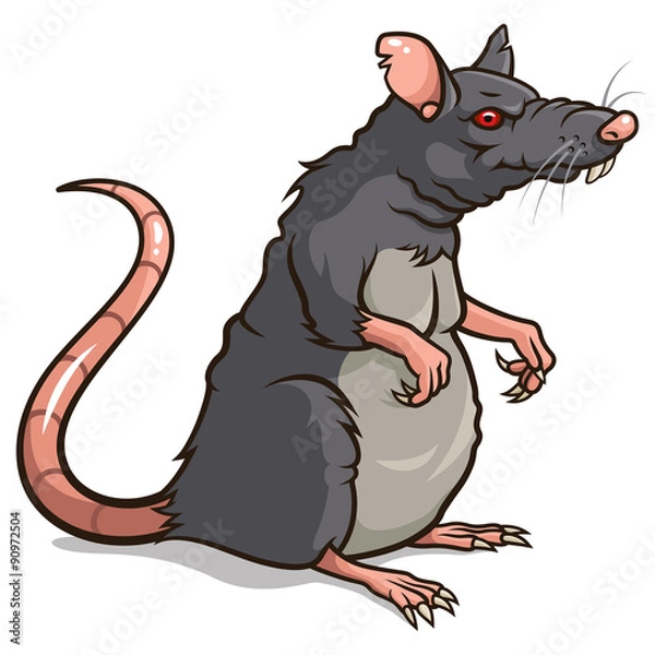 Fototapeta Szczur 001