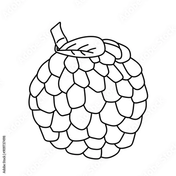 Fototapeta Flat Design Sugar Apple Vector