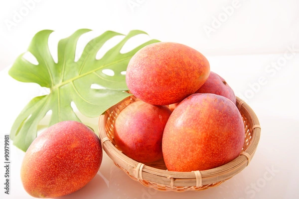 Obraz 完熟マンゴ