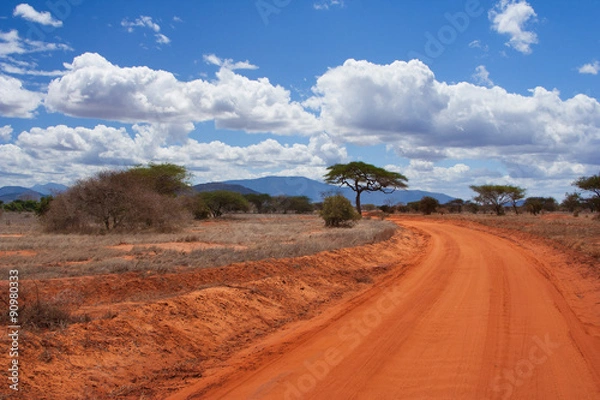 Fototapeta Droga Savannah