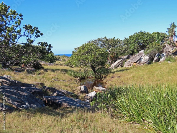 Obraz Natural valley