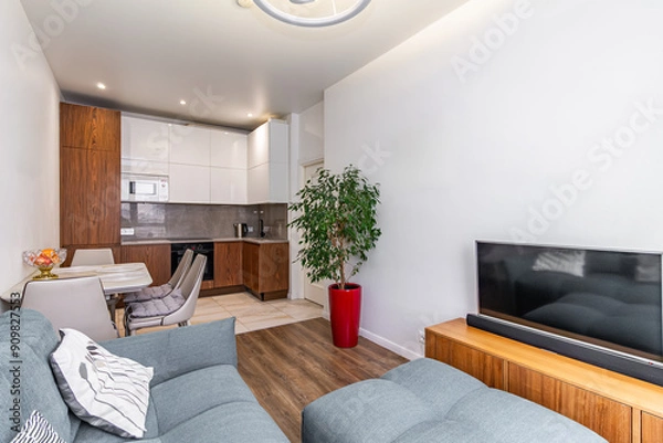 Obraz Living room with kitchen in one room small studio apartment with sofa, TV, nightstand, table with chairs, potted green tree.