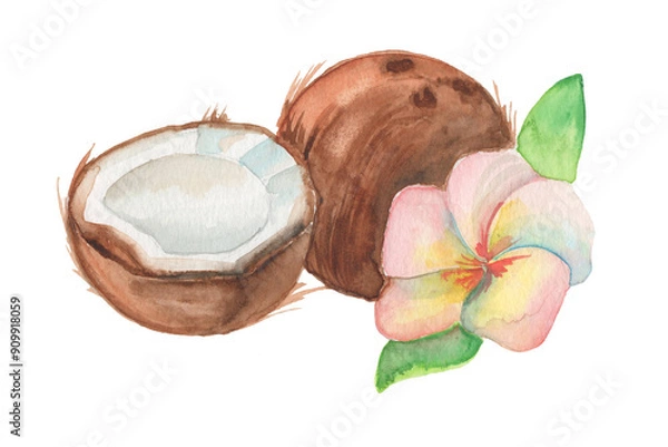 Fototapeta Watercolor composition with hand-drawn fresh coconut and tropical flower. 