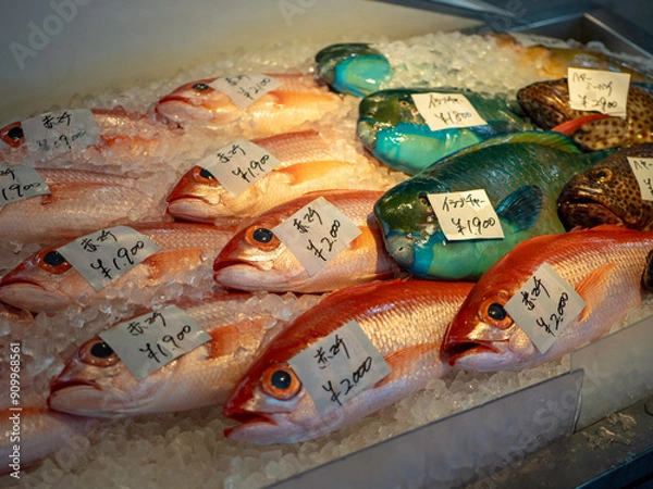 Obraz 沖縄の魚市場泊いゆまちで売られているアカマチ、イラブチャー