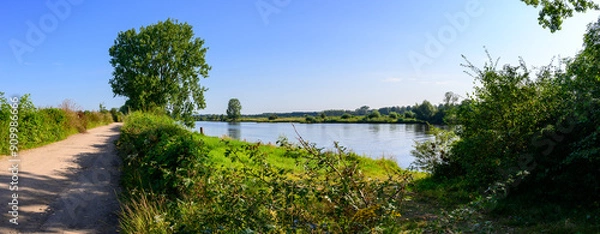 Fototapeta Panorama photo of the river: The Maas. In North Brabant, the Netherlands. With a wide walking path and surrounded by green forests, with a blue clear sky.