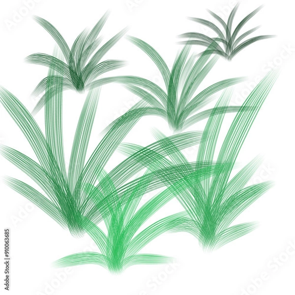 Obraz Grass 