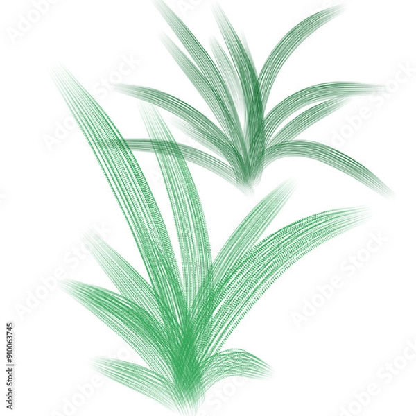 Obraz palm tree leaf
