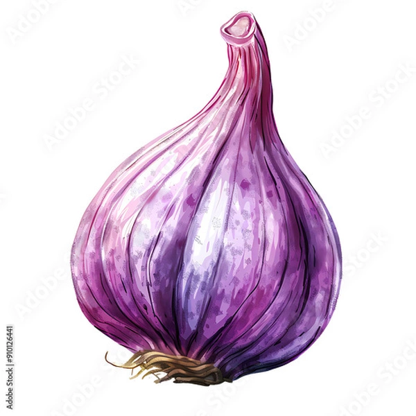 Obraz High-quality image of a fresh isolated on transparency PNG background, purple onion , perfect for culinary and nutrition-themed projects.