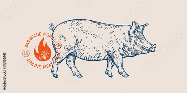 Fototapeta Pork, pig, hog, meat tag label. Template Meat Tag Label. Vintage print, tag, label farm pig sketch ink pencil style drawing. Butchery, pork pig farm, meat shop, text, typography. Vector Illustration