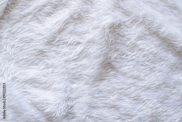 Obraz White Fur