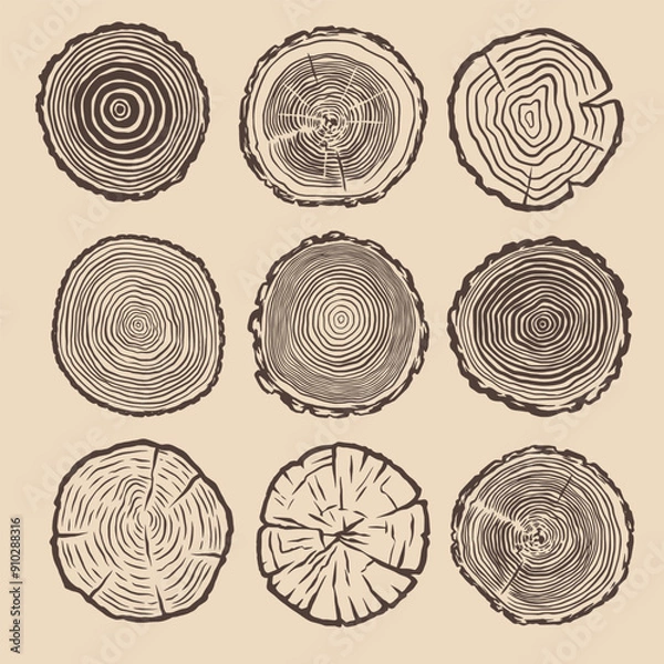 Fototapeta Growth ring illustration. Growth ring drawing. Growth ring tree hand drawn. Tree trunk cut illustration. Cut timber