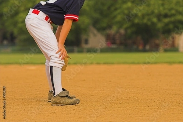 Fototapeta ready to field