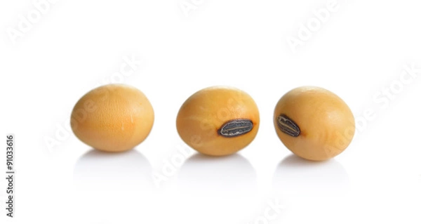 Obraz Dried  soybean on a white background
