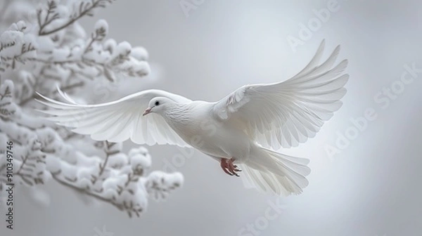 Obraz White dove flying in snowy landscape symbolizing peace and hope